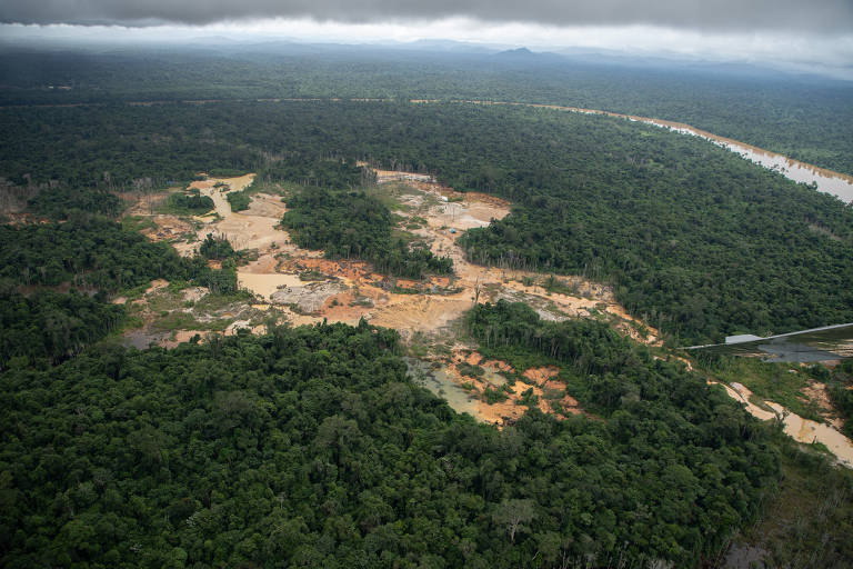 Novo governo vetará Garimpo em Roraima