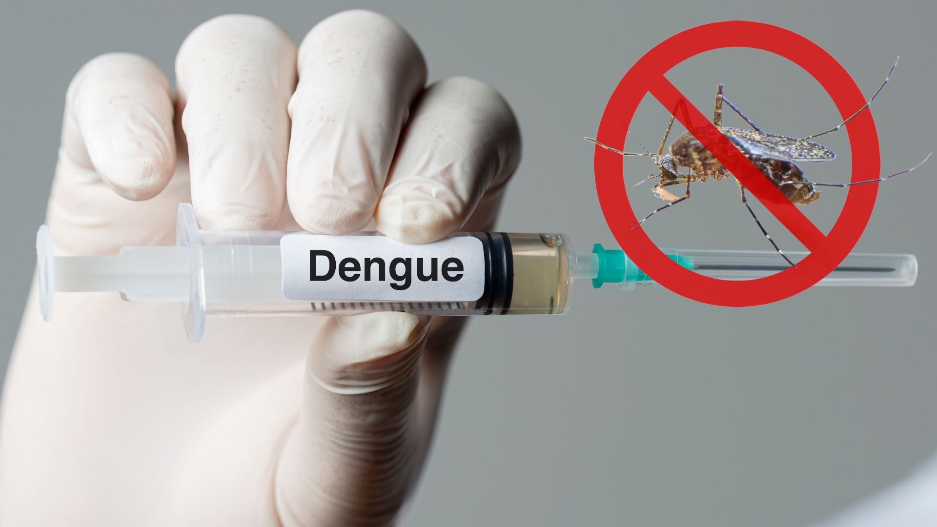 Dengue ainda continua Crescente em Tubarão