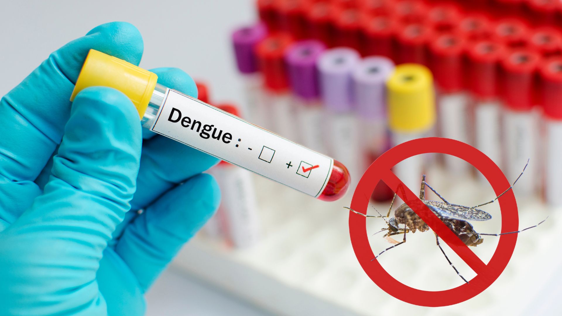 Saúde atualiza os Números da dengue